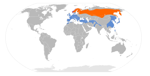 鸿鹄之志青岛候鸟传?｜你不是燕雀 安知鸿鹄之志？