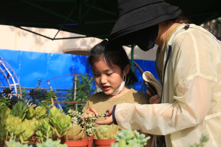 花艺2.0版园艺市集来了！好看好玩还能免费学花艺 周末去中山公园千万别错过