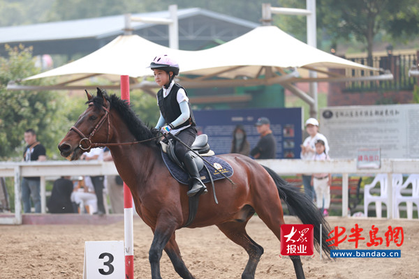 英姿飒爽！2020“宝湖杯”青少年马术邀请赛成功举办