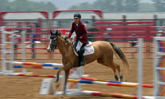 放马奔腾小骑士即墨放马奔腾 今年青岛首场马术赛事顺利结束