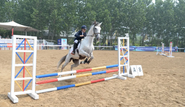 放马奔腾小骑士即墨放马奔腾 今年青岛首场马术赛事顺利结束