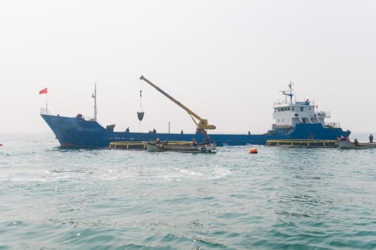 深读休渔期不休“鱼” 一条福建大黄鱼的千里青漂路