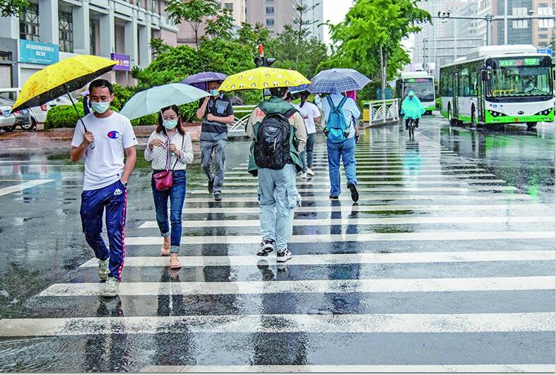 今年青岛降水“偏多” 端午天气总体晴朗适宜出游