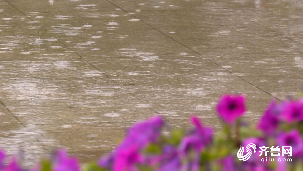 今年青岛降水“偏多” 端午天气总体晴朗适宜出游