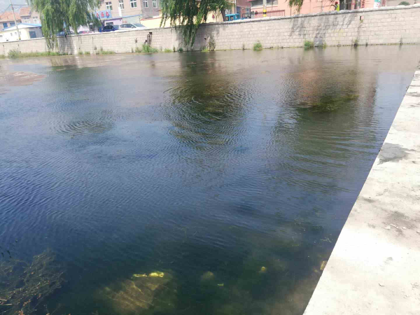 王哥庄加强巡查助防汛，清理河道保畅通 王哥庄街道多措并举做好防汛准备工作
