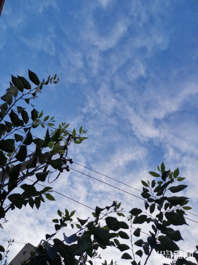 画布看！青岛的天空成了画布