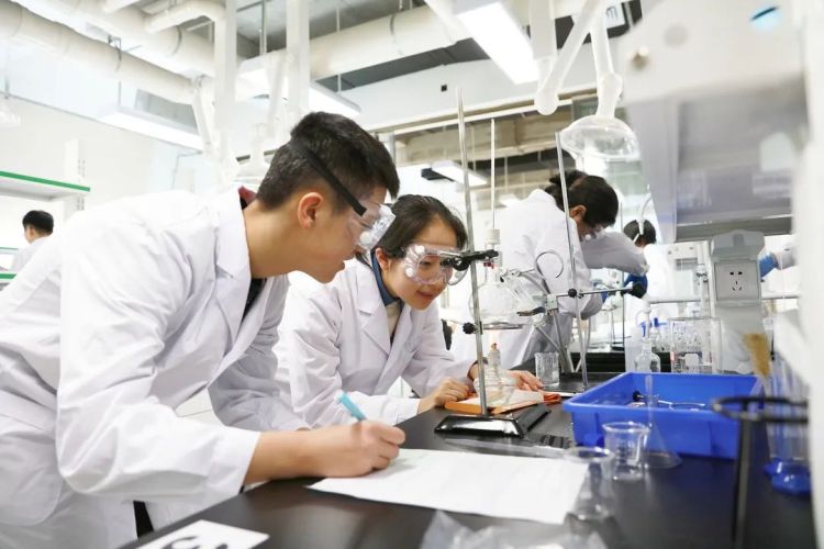 50青岛中学面向9年级新生提供专项奖学金 共计50个名额每人6万元