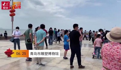 【视频】端午节遇上全国土地日 青岛小学生变宣传员：严守耕地红线