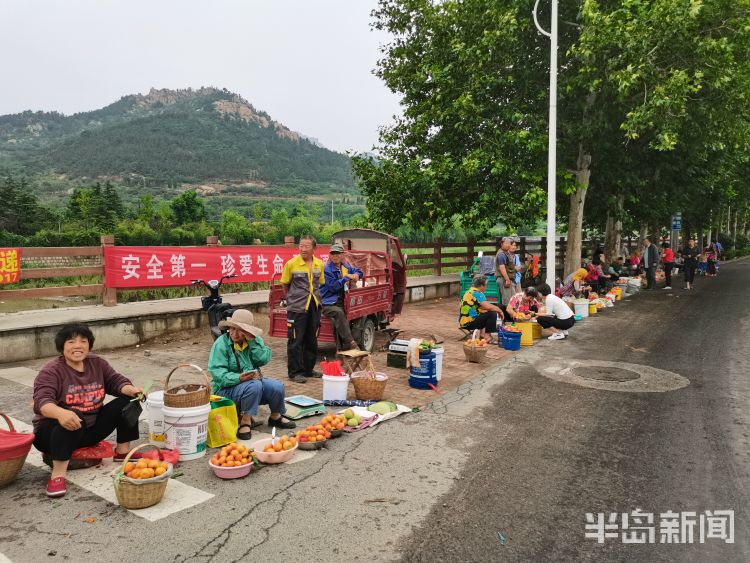 北宅崂山区北宅街道：农户路边售卖农产品 红杏唱主角