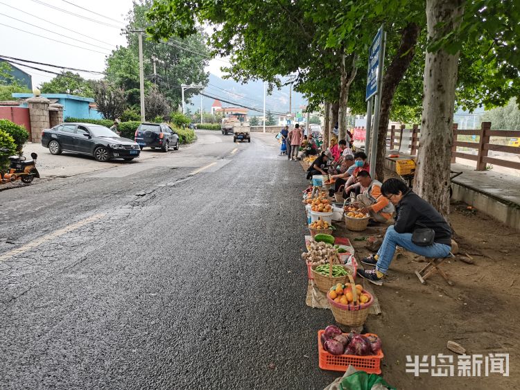 崂山区北宅街道农户路边售卖农产品红杏唱主角