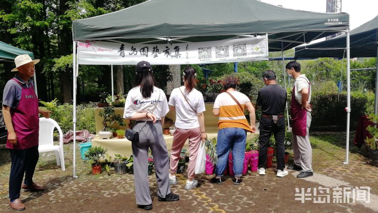 花艺中山公园青岛首个园艺市集：逛公园 买文创