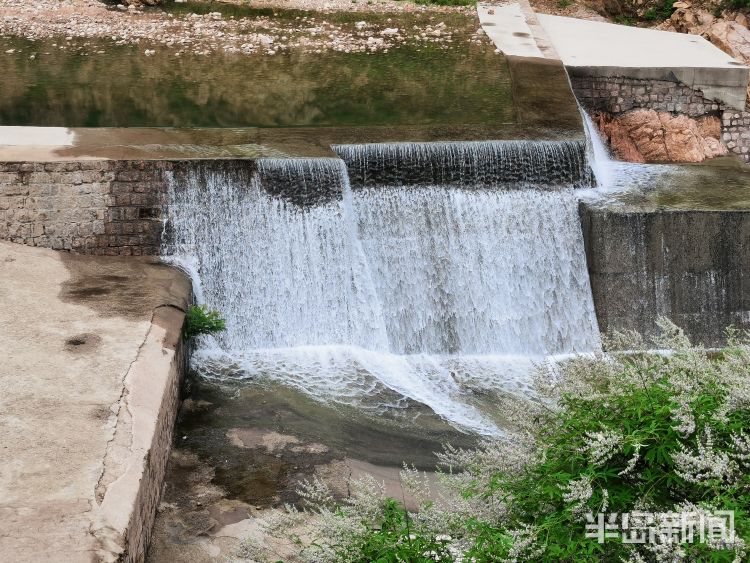 新雨后降雨过后崂山水库河道水流潺潺 水草野花茂盛