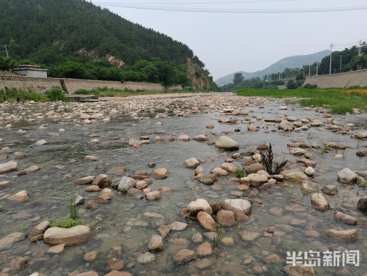 新雨后降雨过后崂山水库河道水流潺潺 水草野花茂盛