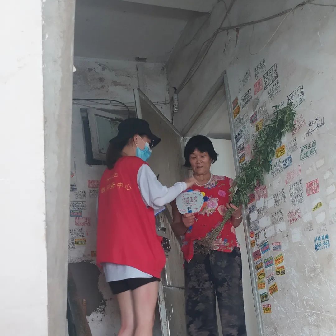 艾草锦湖社区举办端午节主题活动 送艾草传温情不忘禁毒宣传