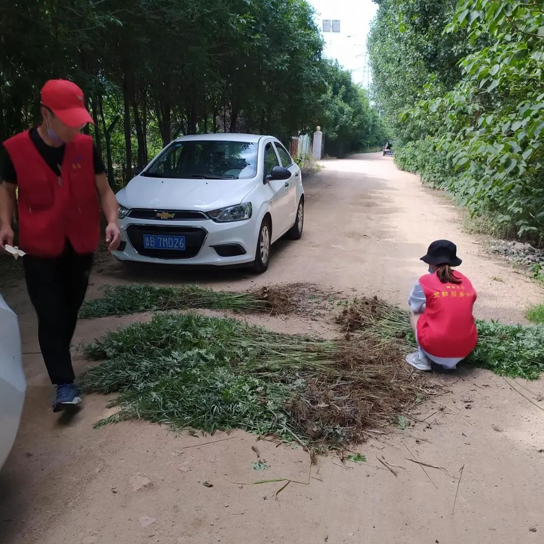 艾草锦湖社区举办端午节主题活动 送艾草传温情不忘禁毒宣传