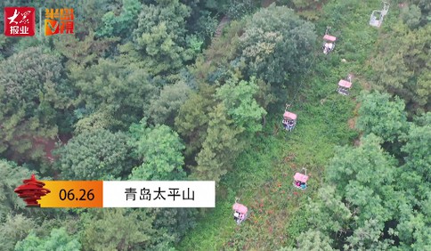 [视频]全家一块来！端午小长假太平山索道游客简直太火爆