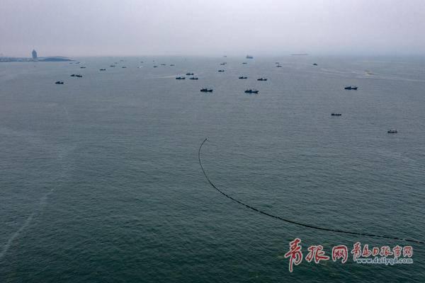 浒苔提前到来 青岛早介入精细管 陆域“打浒”战全面开启