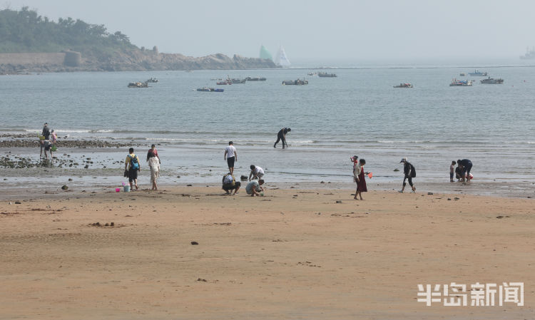 赶海青岛第一海水浴场沙滩上大退潮 市民洗海澡感受清凉