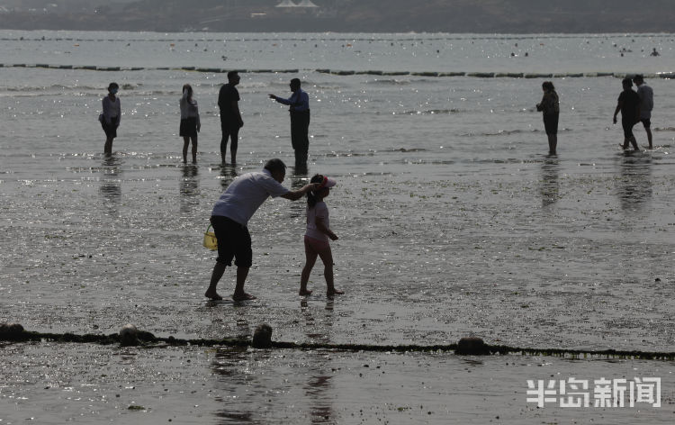 赶海青岛第一海水浴场沙滩上大退潮 市民洗海澡感受清凉