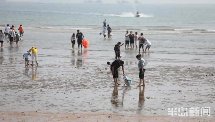 赶海青岛第一海水浴场沙滩上大退潮 市民洗海澡感受清凉