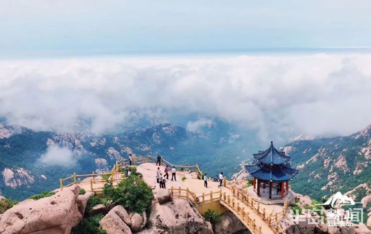 打卡端午假期83.91万人次打卡青岛 旅游收入6.54亿元 乡村游、民俗游备受青睐