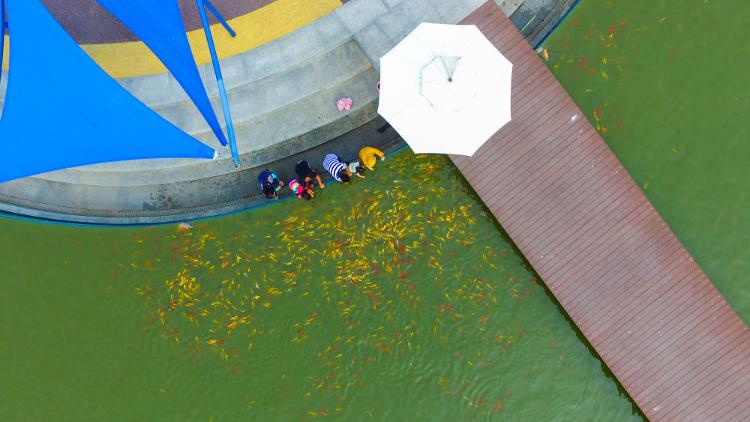 端午小长假国内游客超4880万人次 累计实现收入122.8亿元