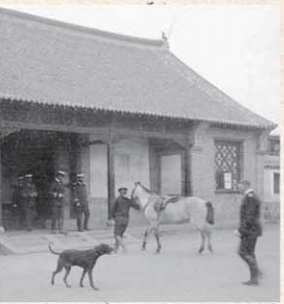 走狗“走狗”原来还有这意思 汉武帝为“走狗”专门建宫殿