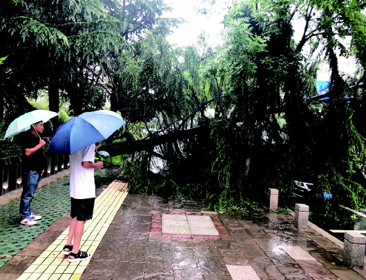 高温躲在风雨后！7、8月份青岛相对湿度明显增大 “桑拿天”要来了