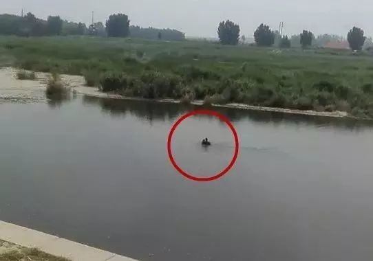 紧急提醒！潍坊冶源水库加大泄水流量！这些事千万不要做.....