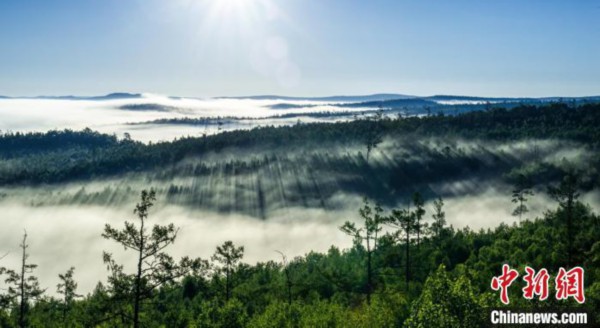2020进入“下半场” 又将有一大批新政策法规实施