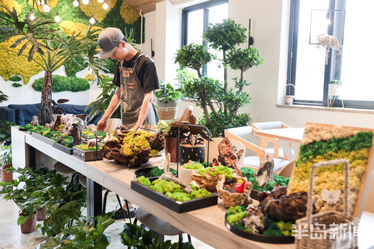 玩出小苔藓在设计师手里变成独特盆景 展现特别意境