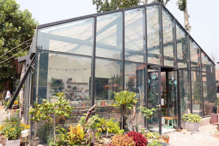 玩出小苔藓在设计师手里变成独特盆景 展现特别意境