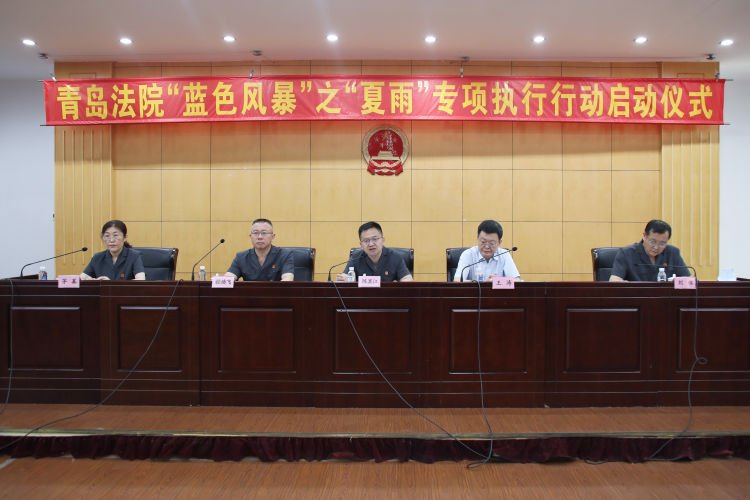 拒执青岛法院启动蓝色风暴“夏雨”打击拒执犯罪专项行动