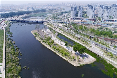 即墨区整治墨水河四年整：“整”出一道风景线 “捞”出一堆科技奖