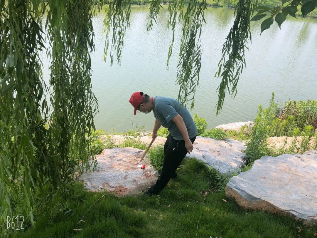 新昌发展区多种形式献礼建党九十九周年