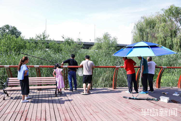 李村青岛李村河畔钓龙虾 不少钓鱼爱好者慕名而来