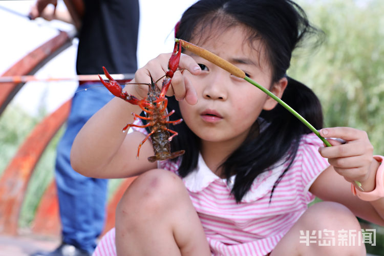 李村青岛李村河畔钓龙虾 不少钓鱼爱好者慕名而来