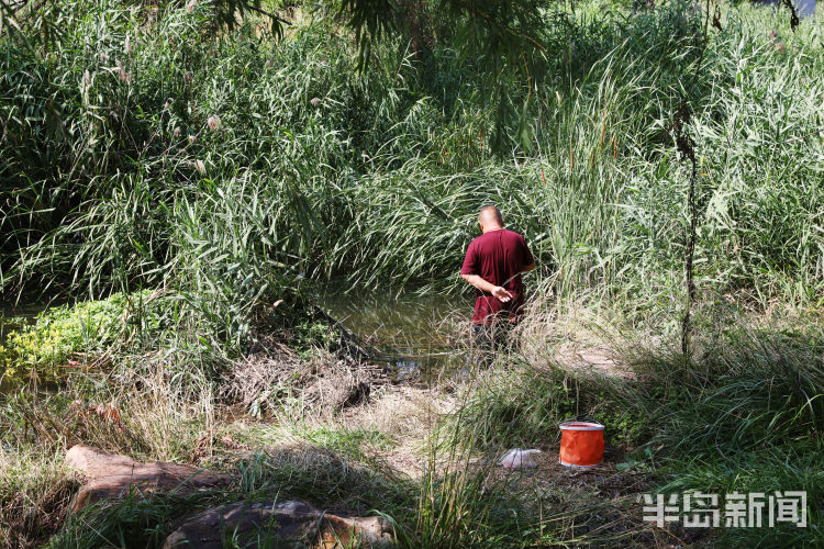 李村青岛李村河畔钓龙虾 不少钓鱼爱好者慕名而来