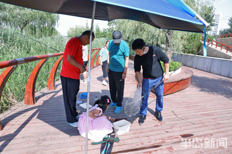 李村青岛李村河畔钓龙虾 不少钓鱼爱好者慕名而来