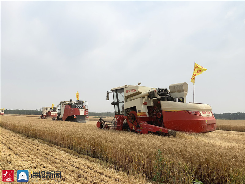 济南：四个“舍得” 换来文明和谐富美乡村