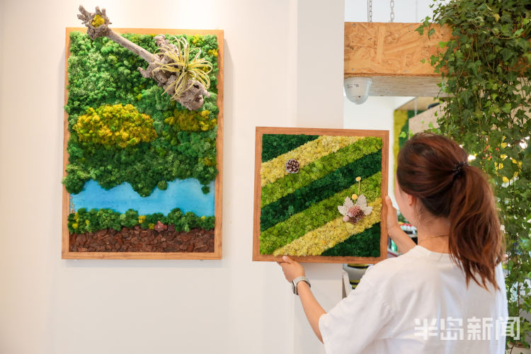 绿植崂山区北宅凉泉社区“理想村”溪隐创意植物美学馆：创意绿植 自然美学