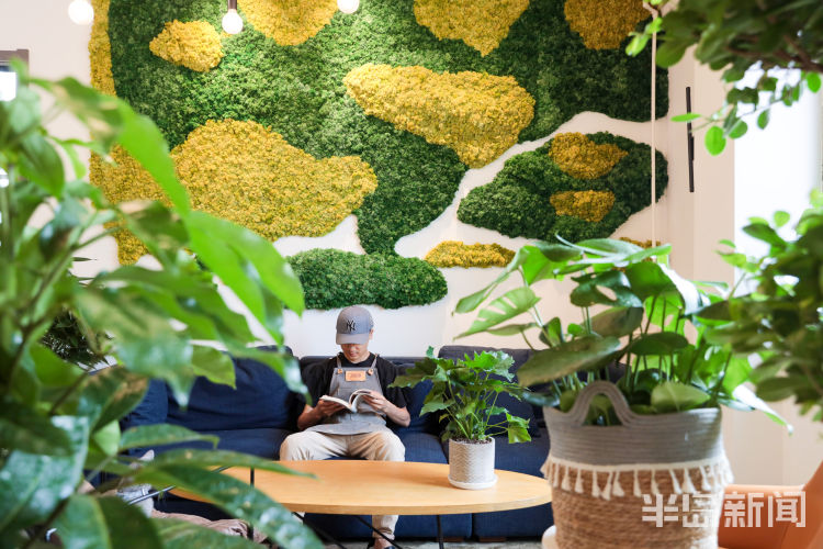 绿植崂山区北宅凉泉社区“理想村”溪隐创意植物美学馆：创意绿植 自然美学