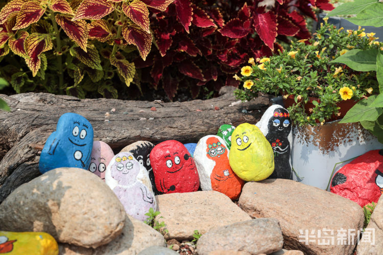 绿植崂山区北宅凉泉社区“理想村”溪隐创意植物美学馆：创意绿植 自然美学