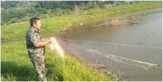 让水库安全之树常青 --西海岸新区铁山水库狠抓水环境安全管理工作