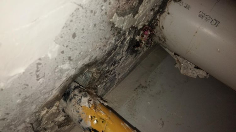 漏雨雨季到来房屋漏雨之困如何解 记者帮您一一捋顺