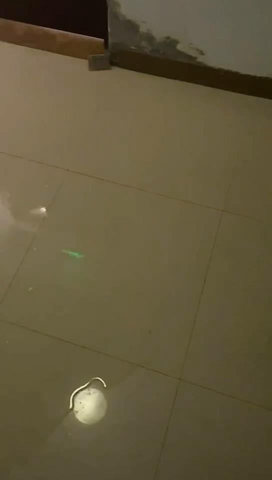 漏雨雨季到来房屋漏雨之困如何解 记者帮您一一捋顺