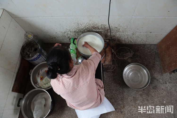 150西海岸新区大村镇倾情付出 “鹿妈妈”十年带大150头鹿