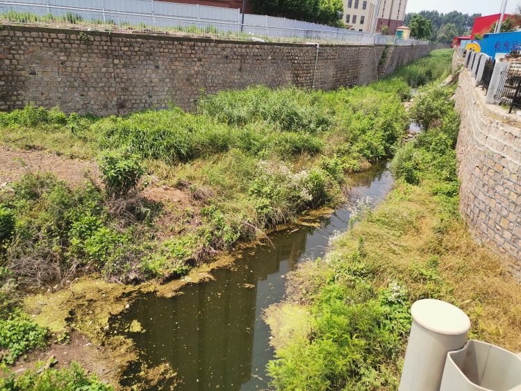 水域半岛记者探即墨水域② ：部分水域缺围挡 行人进入很“方便”