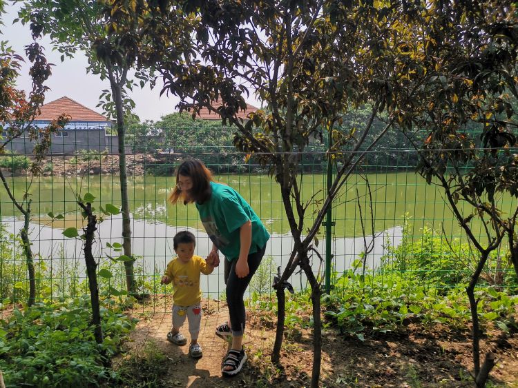 水域半岛记者探即墨水域② ：部分水域缺围挡 行人进入很“方便”