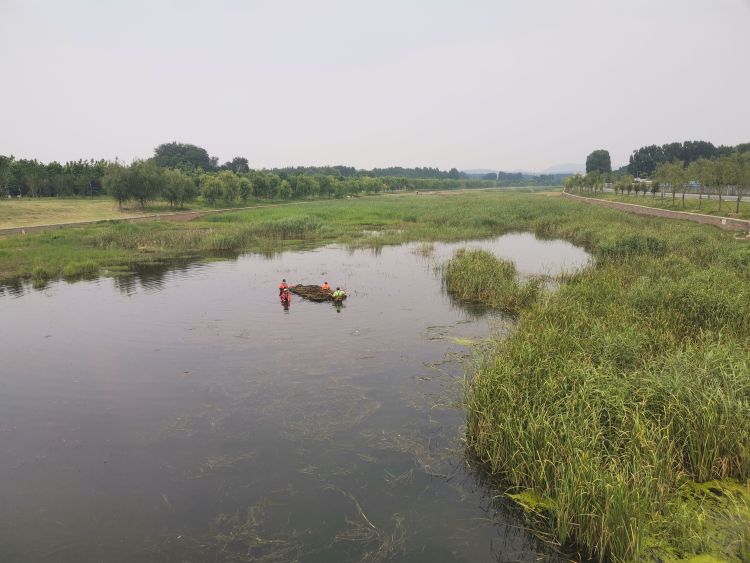 水域半岛记者探即墨水域② ：部分水域缺围挡 行人进入很“方便”